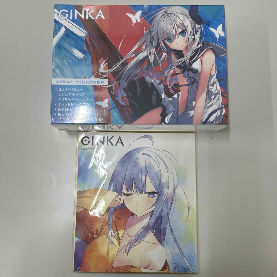 Nintendo Switch - GINKA（抱き枕カバー付き特装版）　 SWITCH 新品未使用　ギンカ Amazon.co.jp: GINKA 抱き枕カバー付き特装版 【Amazon.co.jp